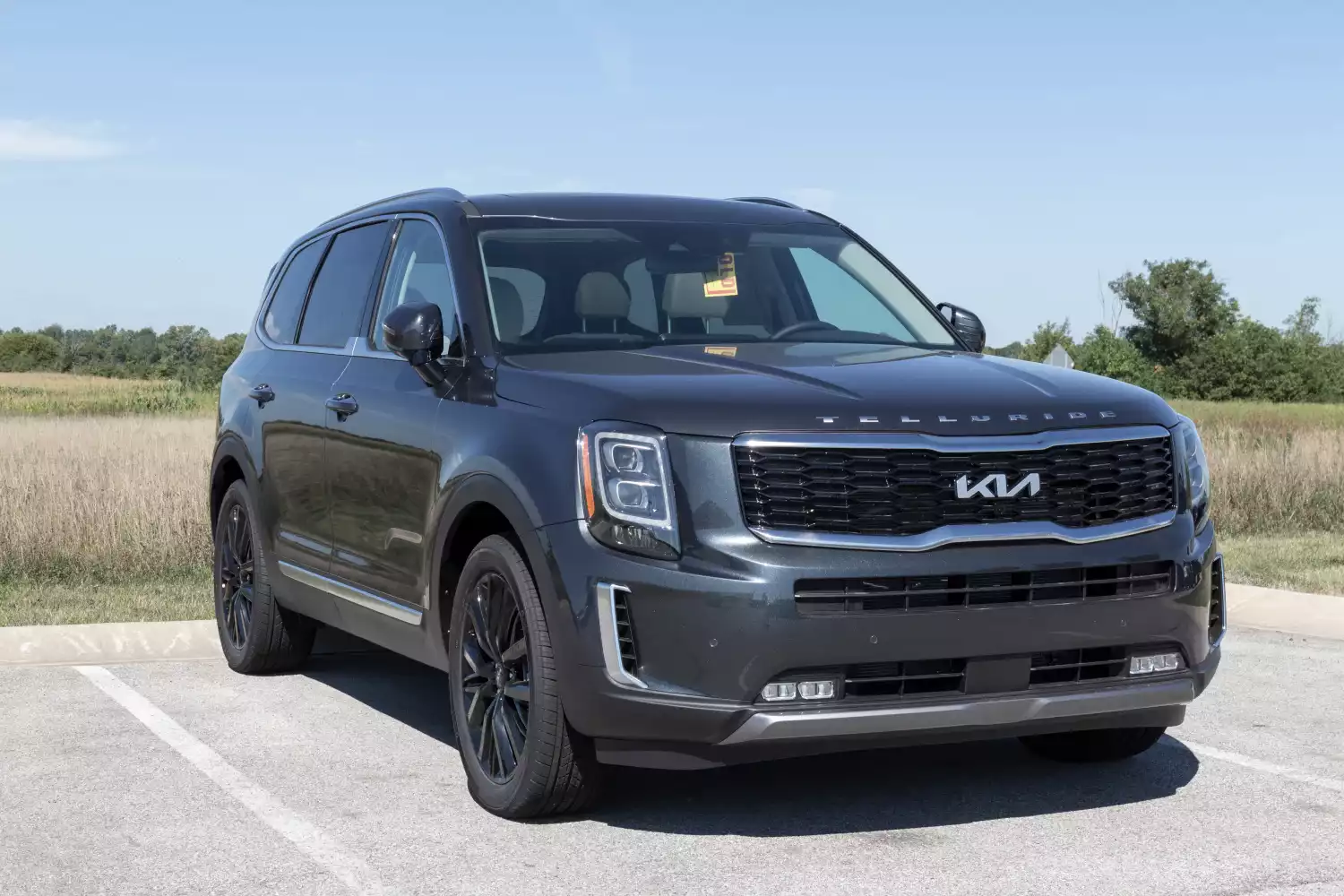 Kia Telluride trunk organizer