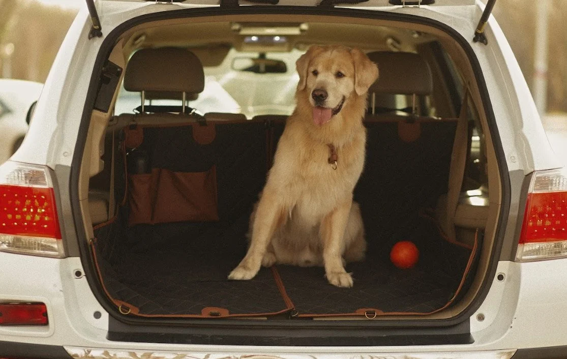 pet seat cover for Lexus RX