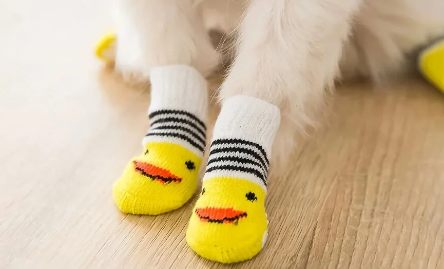 Cute Dog Socks for Paw Care