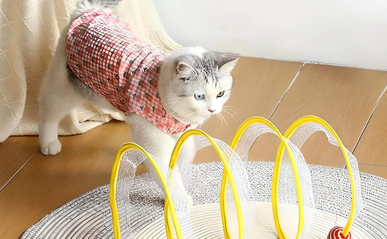Long Cat Tunnel for Chasing Play