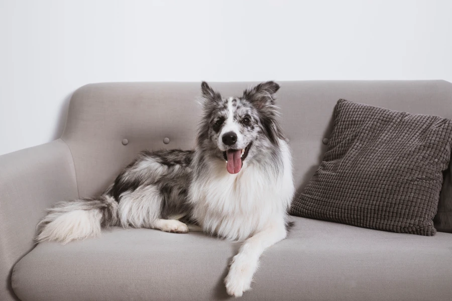 Pet Hair Removal Glove