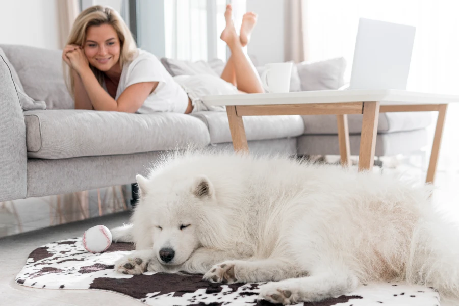 Adjustable Pet Deshedding Glove